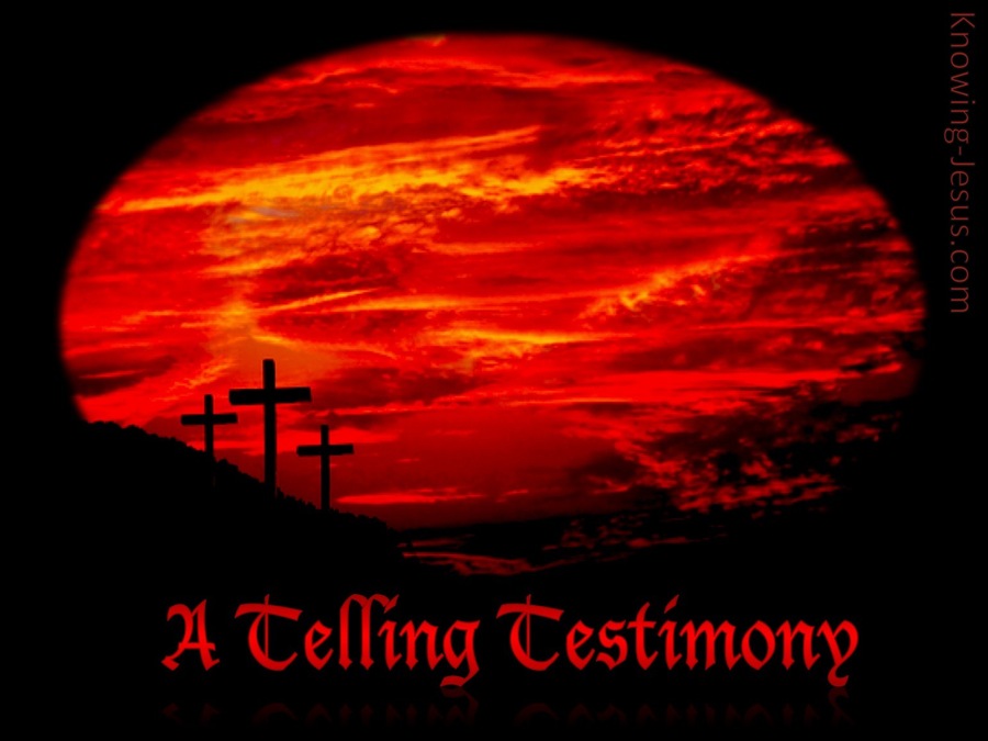 A Telling Testimony (devotional) (red)